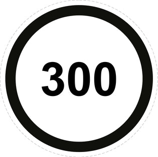 Tire speed sticker "300 black border" LH-CAR1500-300