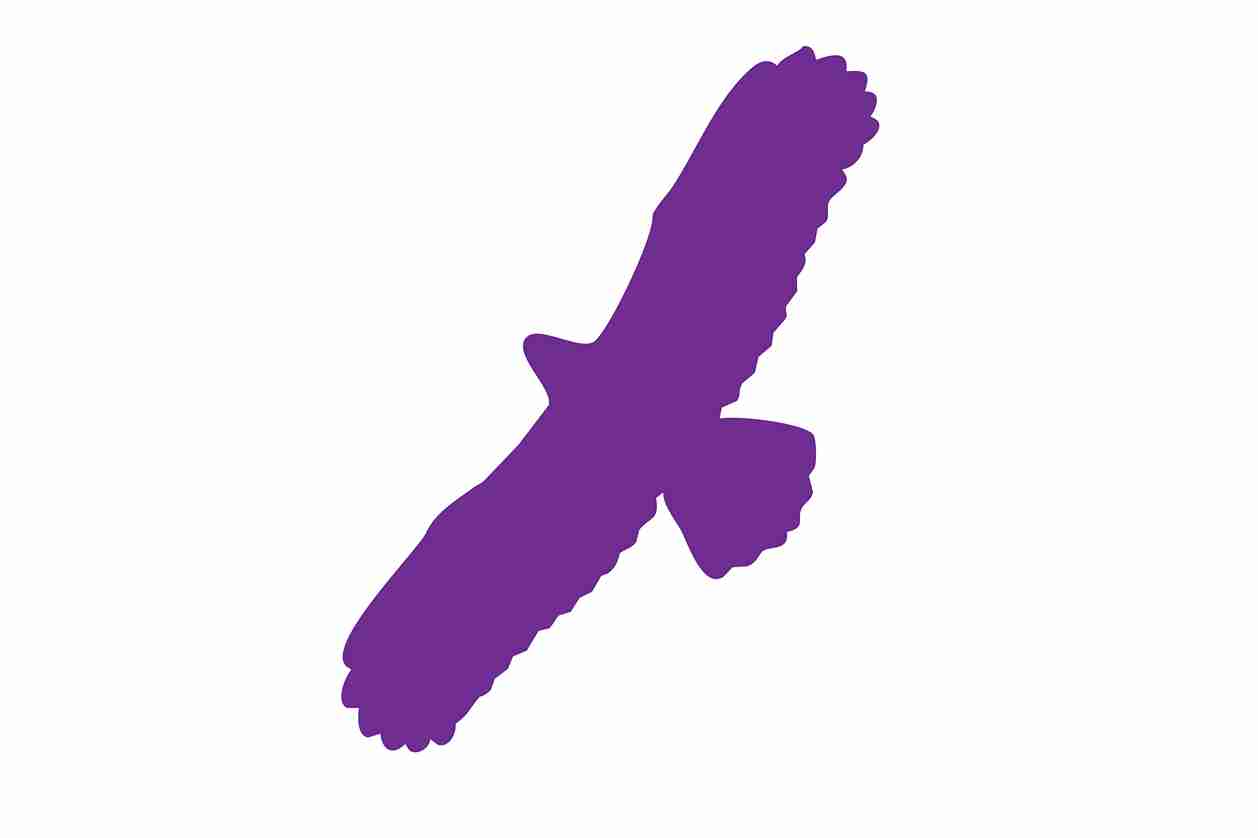 Bird protection sticker 10-50 cm LH-VOG-100-34, purple color, made of weatherproof plastic