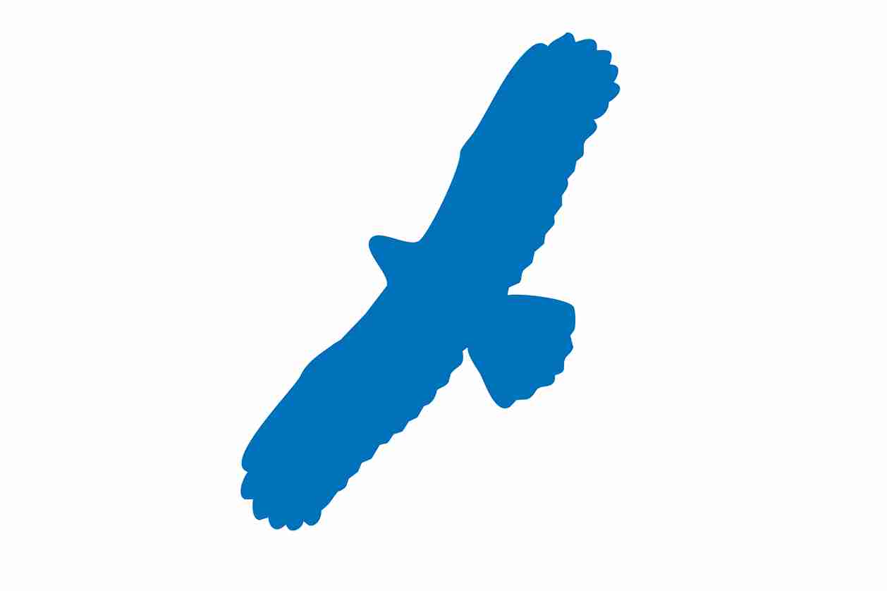 Bird protection sticker 60-100 cm LH-VOG-100-44, dark blue color, made of weatherproof plastic