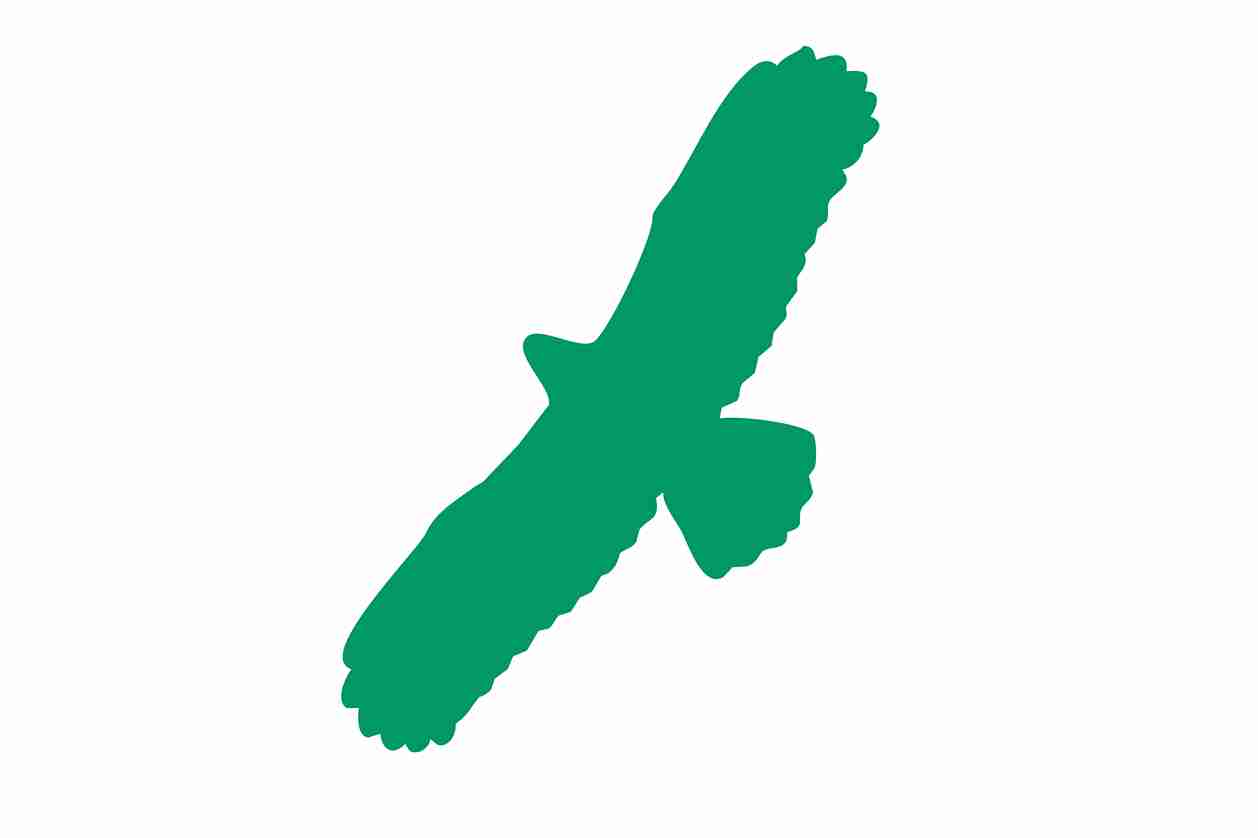Bird protection sticker 60-100 cm LH-VOG-100-54, dark green color, made of weatherproof plastic
