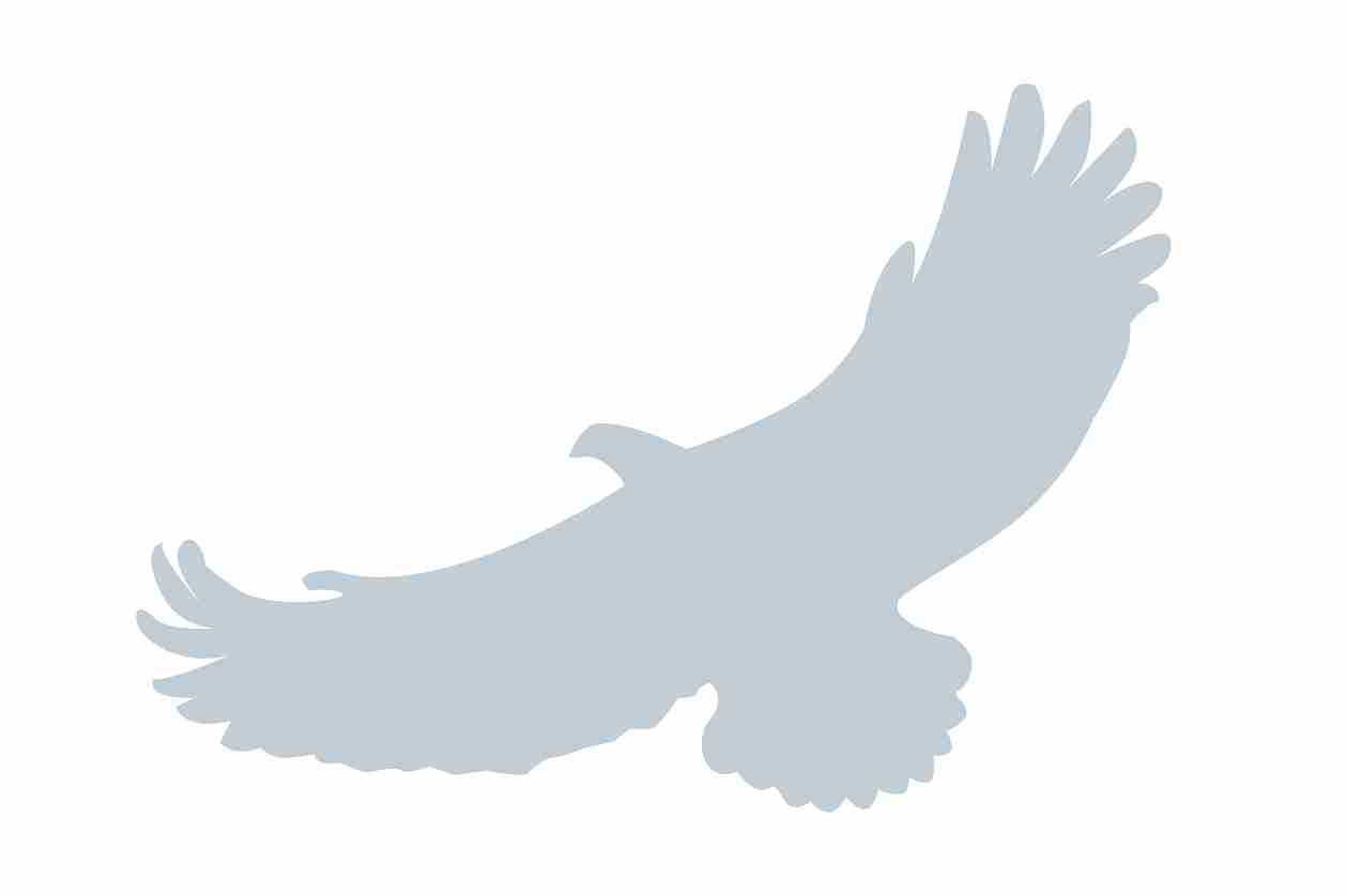 Bird protection sticker 10-50 cm LH-VOG-110-SIM, Silver matt, made of weatherproof plastic