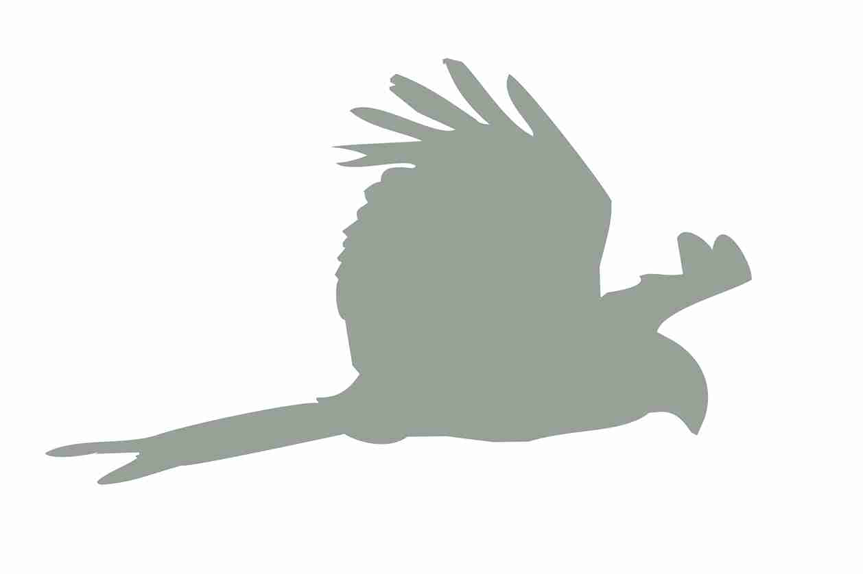 Bird protection sticker 10-50 cm LH-VOG-120-91, light gray color, made of weatherproof plastic