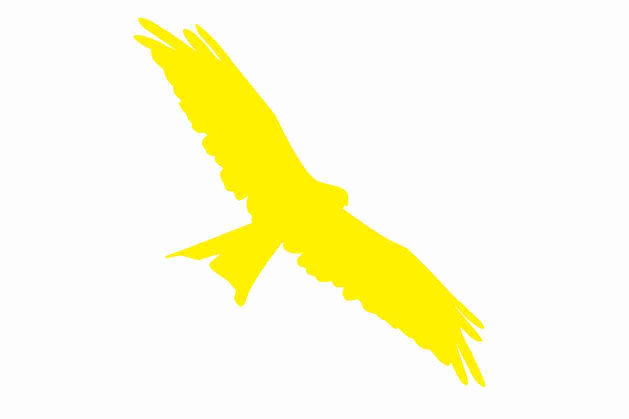 Bird protection sticker 60-100 cm LH-VOG-130-803, light yellow color, made of weatherproof plastic
