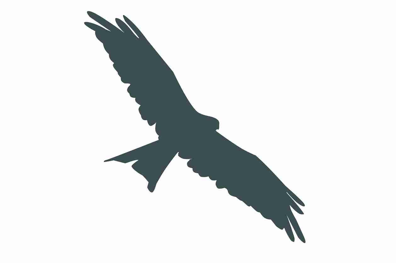 Bird protection sticker 10-50 cm LH-VOG-130-93, dark gray color, made of weatherproof plastic