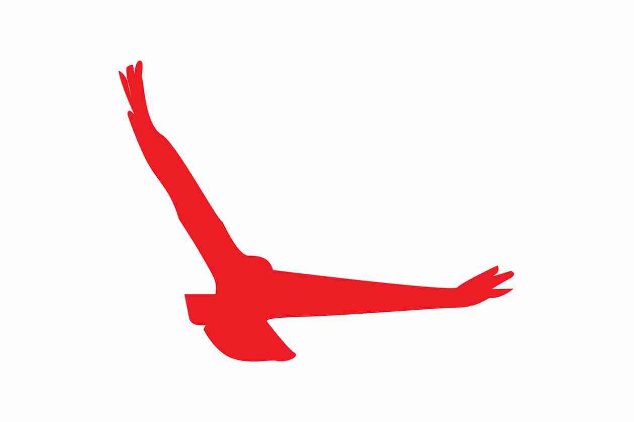 Bird protection sticker 60-100 cm LH-VOG-140-14, red color, made of weatherproof plastic