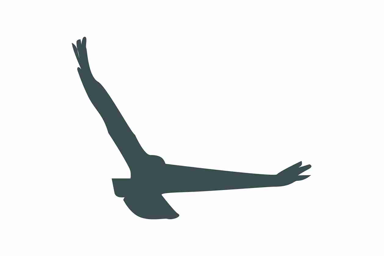 Bird protection sticker 10-50 cm LH-VOG-140-93, dark gray color, made of weatherproof plastic