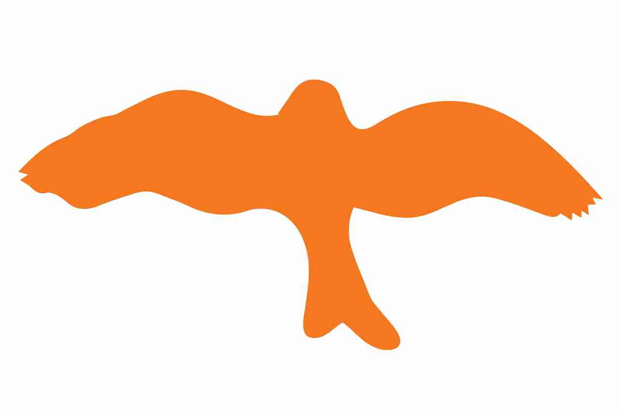Bird protection sticker 10-50 cm LH-VOG-30-8, orange color, made of weatherproof plastic.