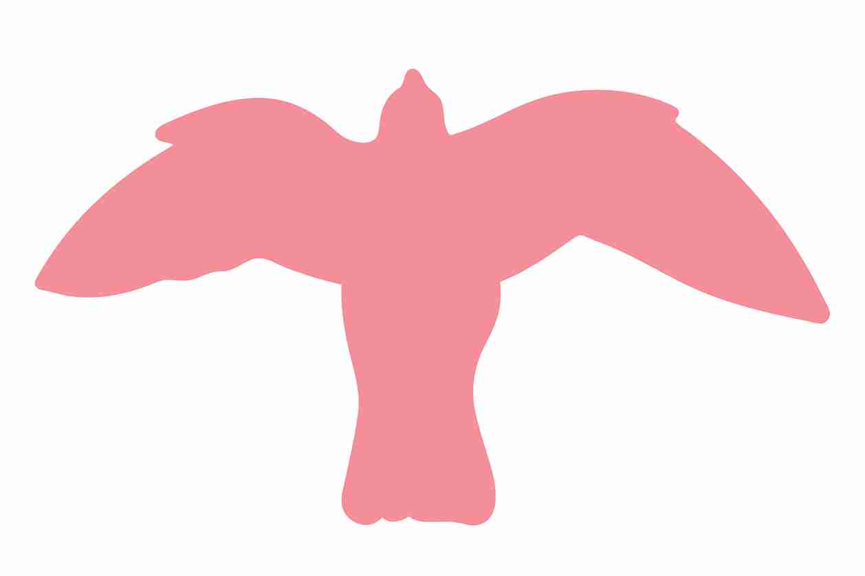Bird protection sticker 10-50 cm LH-VOG-50-21, light pink color, made of weatherproof plastic