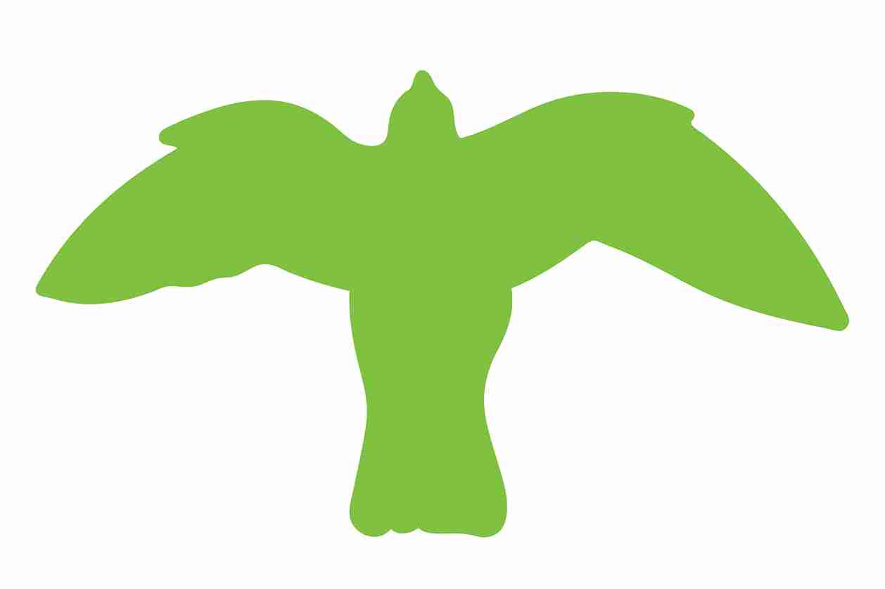 Bird protection sticker 60-100 cm LH-VOG-50-67, green color, made of weatherproof plastic