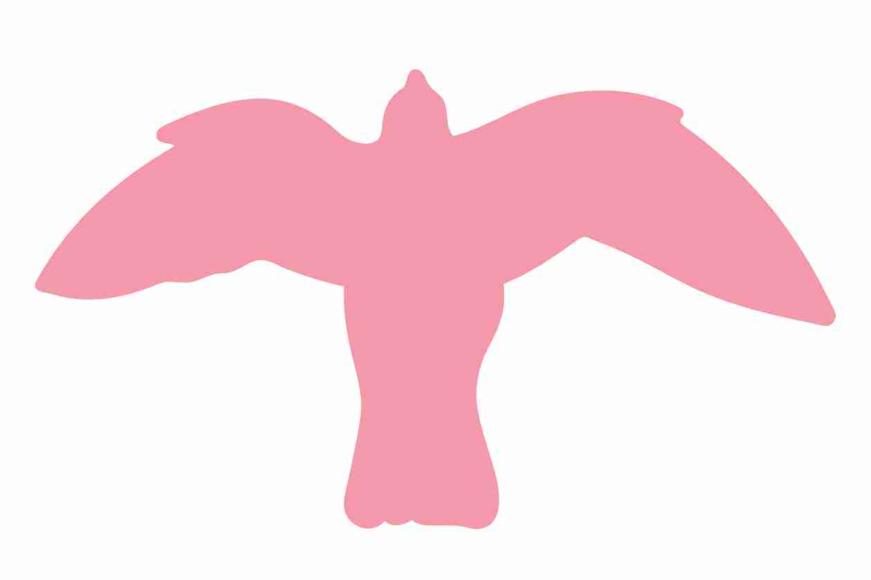 Bird protection sticker 10-50 cm LH-VOG-50-812, light red color, made of weatherproof plastic