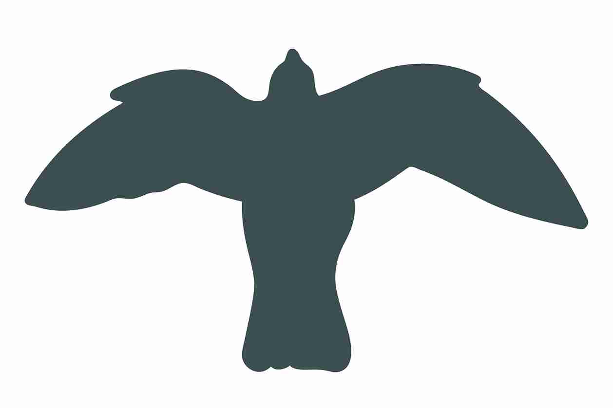 Bird protection sticker 10-50 cm LH-VOG-50-93, dark gray color, made of weatherproof plastic