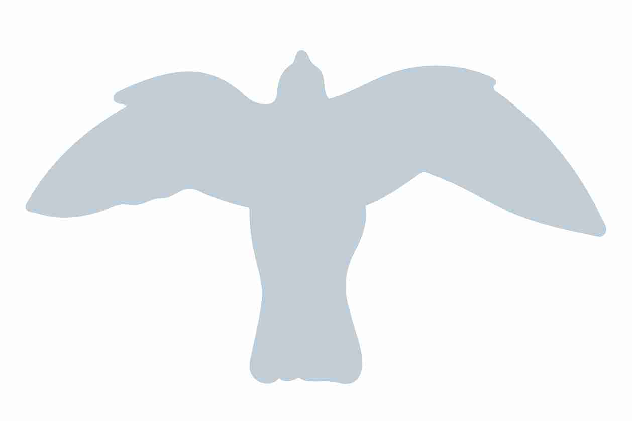 Bird protection sticker 10-50 cm LH-VOG-50-SIG, Silver glossy, made of weatherproof plastic