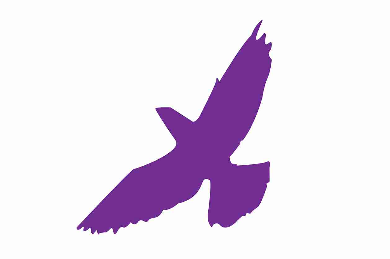 Bird protection sticker 10-50 cm LH-VOG-60-34, purple color, made of weatherproof plastic