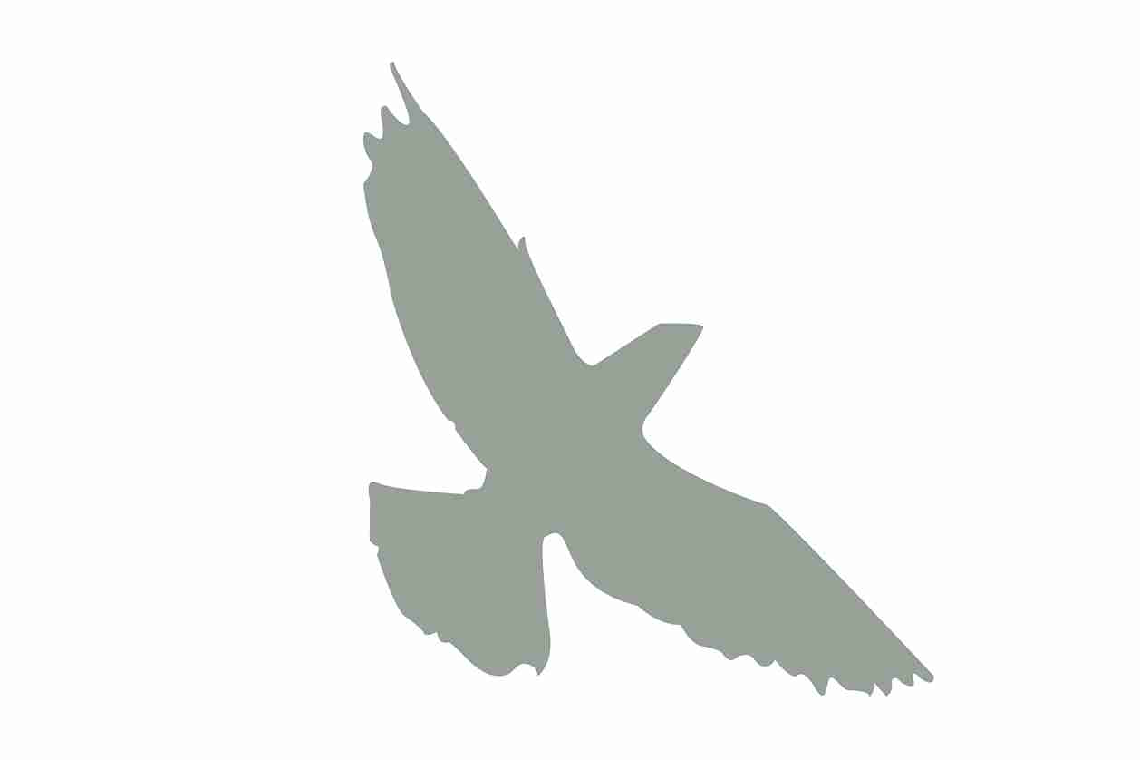 Bird protection sticker 60-100 cm LH-VOG-70-91, light gray color, made of weatherproof plastic