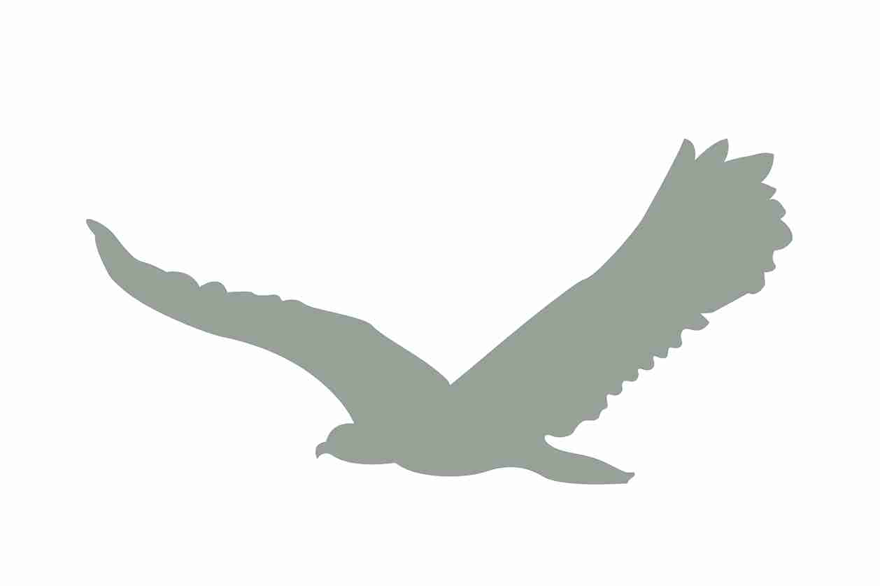 Bird protection sticker 10-50 cm LH-VOG-80-91, light gray color, made of weatherproof plastic