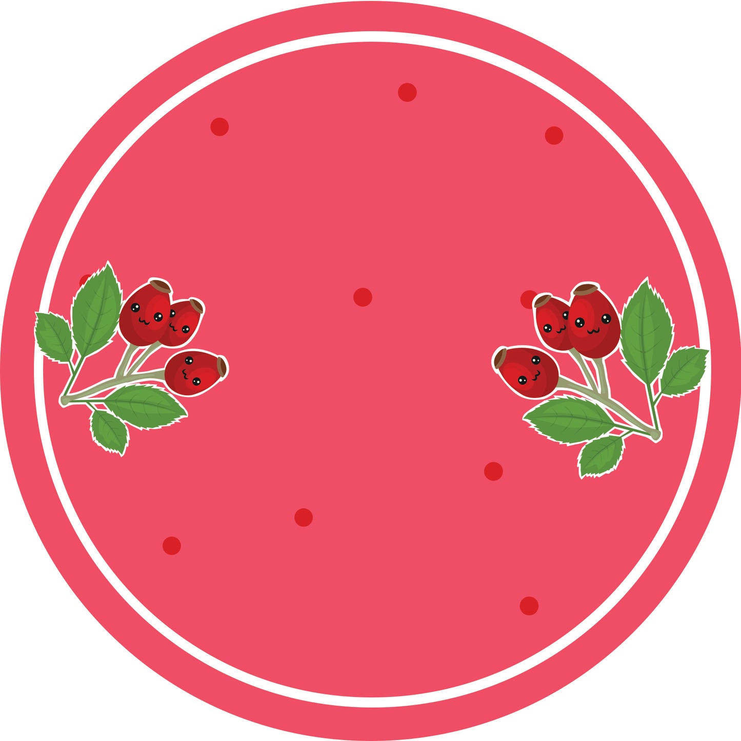 Jam stickers, preserving lables, household lables, round shape labels with matte finish LHMAR17950-Rosehip