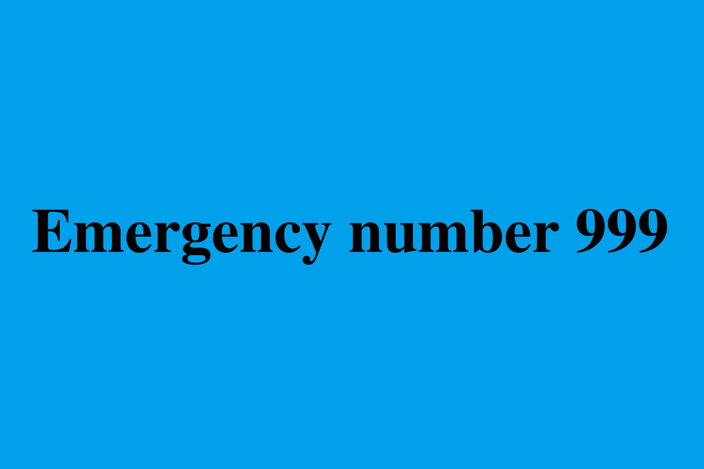 1000 stickers office organization "Emergency number 999" made of Plastic LH-OFFICE2100-PE