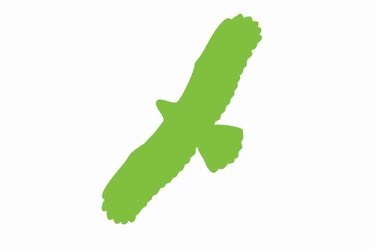 Bird protection sticker 60-100 cm LH-VOG-100-67, green color, made of weatherproof plastic