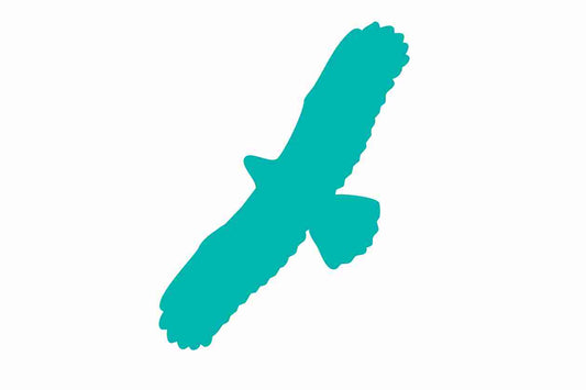 Bird protection sticker 10-50 cm LH-VOG-100-802, light green color, made of weatherproof plastic
