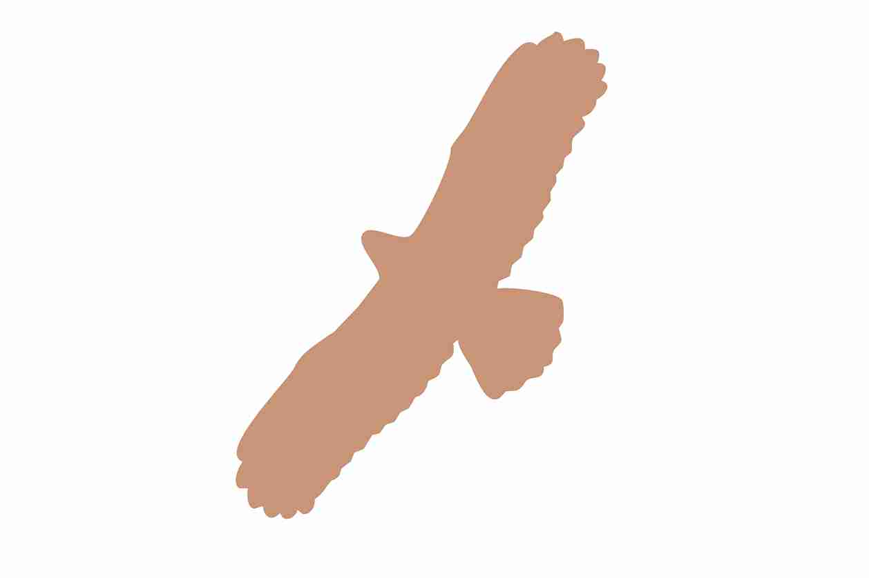 Bird protection sticker 10-50 cm LH-VOG-100-82, light brown color, made of weatherproof plastic