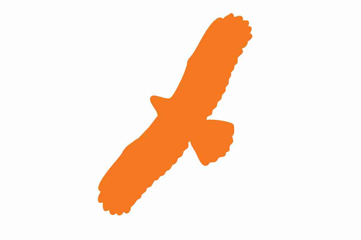 Bird protection sticker 60-100 cm LH-VOG-100-8, orange color, made of weatherproof plastic
