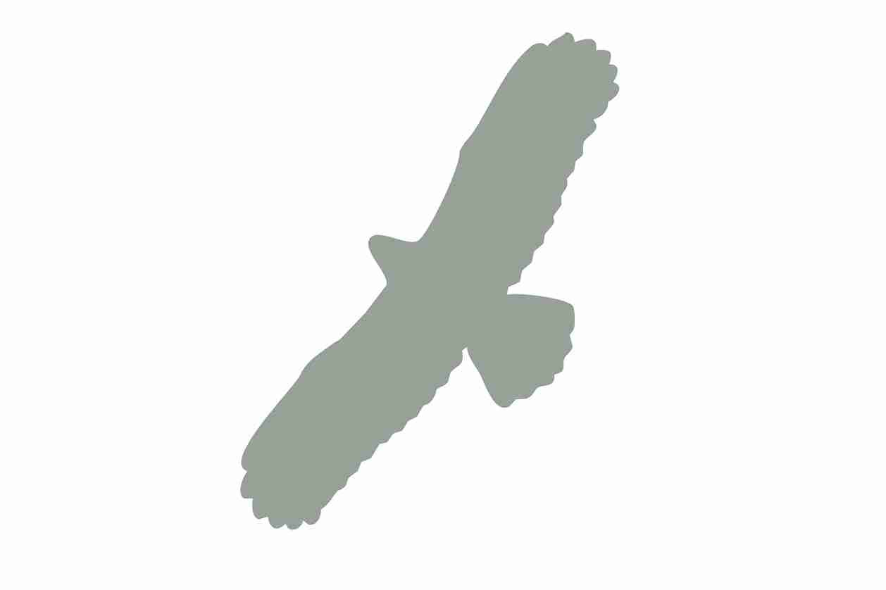 Bird protection sticker 10-50 cm LH-VOG-100-91, light gray color, made of weatherproof plastic
