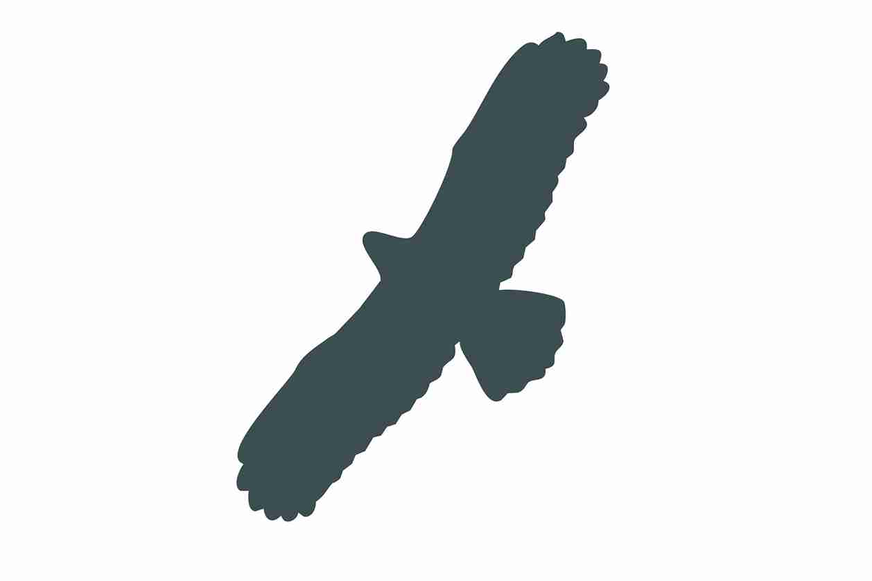 Bird protection sticker 10-50 cm LH-VOG-100-93, dark gray color, made of weatherproof plastic