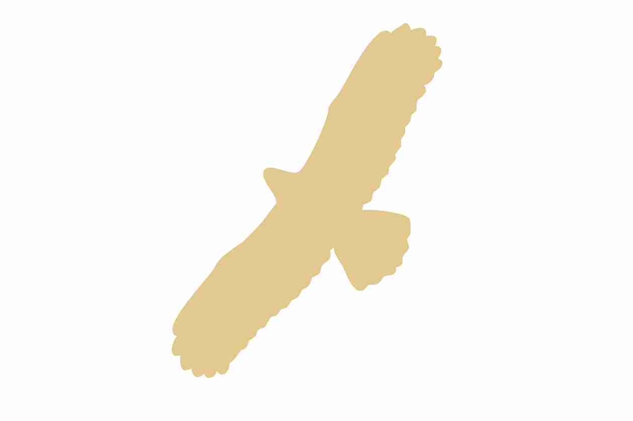 Bird protection sticker 60-100 cm LH-VOG-100-GOG, glossy gold, made of weatherproof plastic