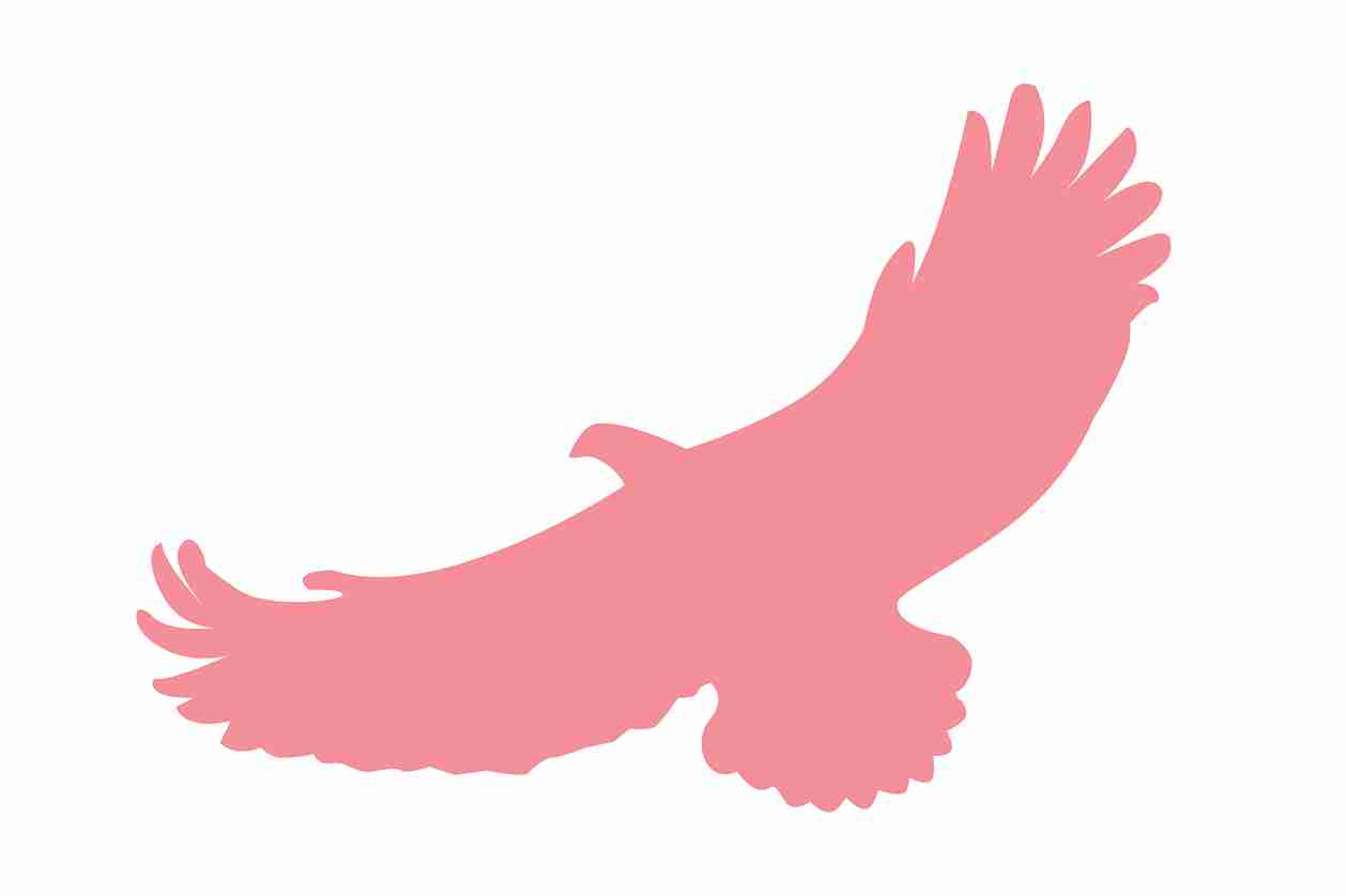Bird protection sticker 60-100 cm LH-VOG-110-21, light pink color, made of weatherproof plastic
