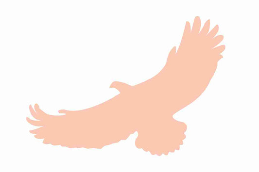Bird protection sticker 10-50 cm LH-VOG-110-811, light orange color, made of weatherproof plastic