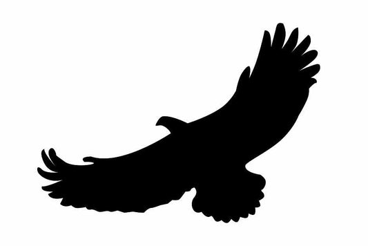 Bird protection sticker 10-50 cm LH-VOG-110-88, black color, made of weatherproof plastic