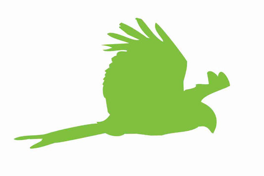 Bird protection sticker 10-50 cm LH-VOG-120-67, green color, made of weatherproof plastic
