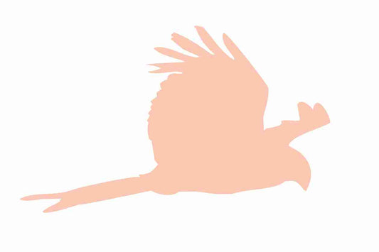 Bird protection sticker 60-100 cm LH-VOG-120-811, light orange color, made of weatherproof plastic