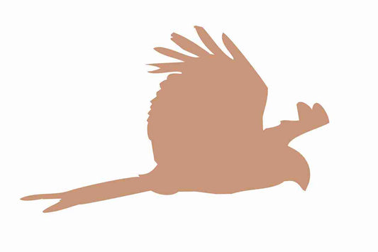 Bird protection sticker 10-50 cm LH-VOG-120-82, light brown color, made of weatherproof plastic