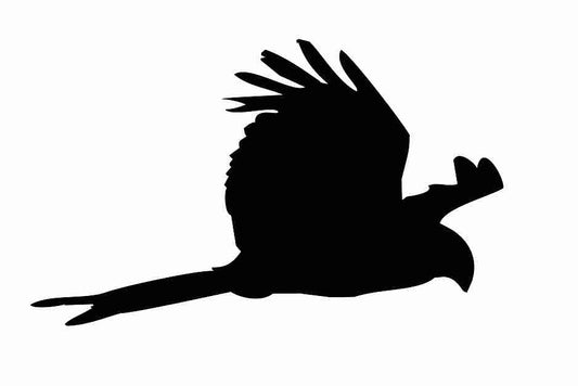 Bird protection sticker 10-50 cm LH-VOG-120-88, black color, made of weatherproof plastic