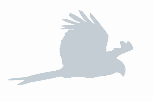 Bird protection sticker 10-50 cm LH-VOG-120-SIM, Silver matt, made of weatherproof plastic