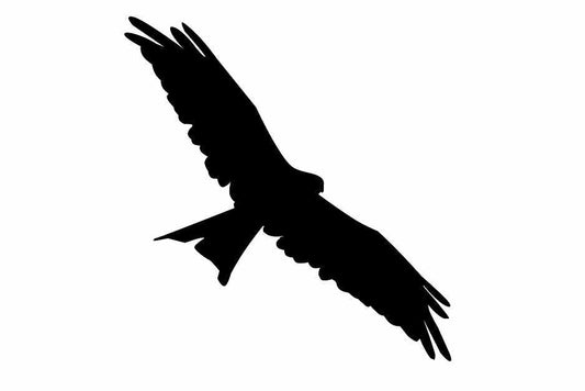 Bird protection sticker 10-50 cm LH-VOG-130-88, black color, made of weatherproof plastic