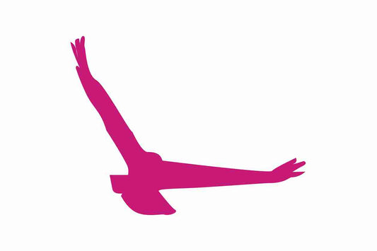Bird protection sticker 10-50 cm LH-VOG-140-26, magenta color, made of weatherproof plastic