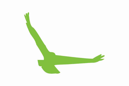 Bird protection sticker 60-100 cm LH-VOG-140-67, green color, made of weatherproof plastic