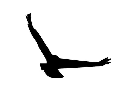 Bird protection sticker 10-50 cm LH-VOG-140-88, black color, made of weatherproof plastic