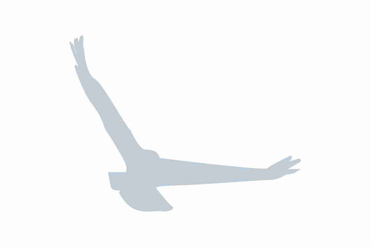 Bird protection sticker 10-50 cm LH-VOG-140-SIM, Silver matt, made of weatherproof plastic