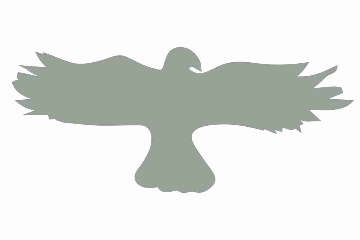 Bird protection sticker 10-50 cm LH-VOG-20-91, light gray color, made of weatherproof plastic.