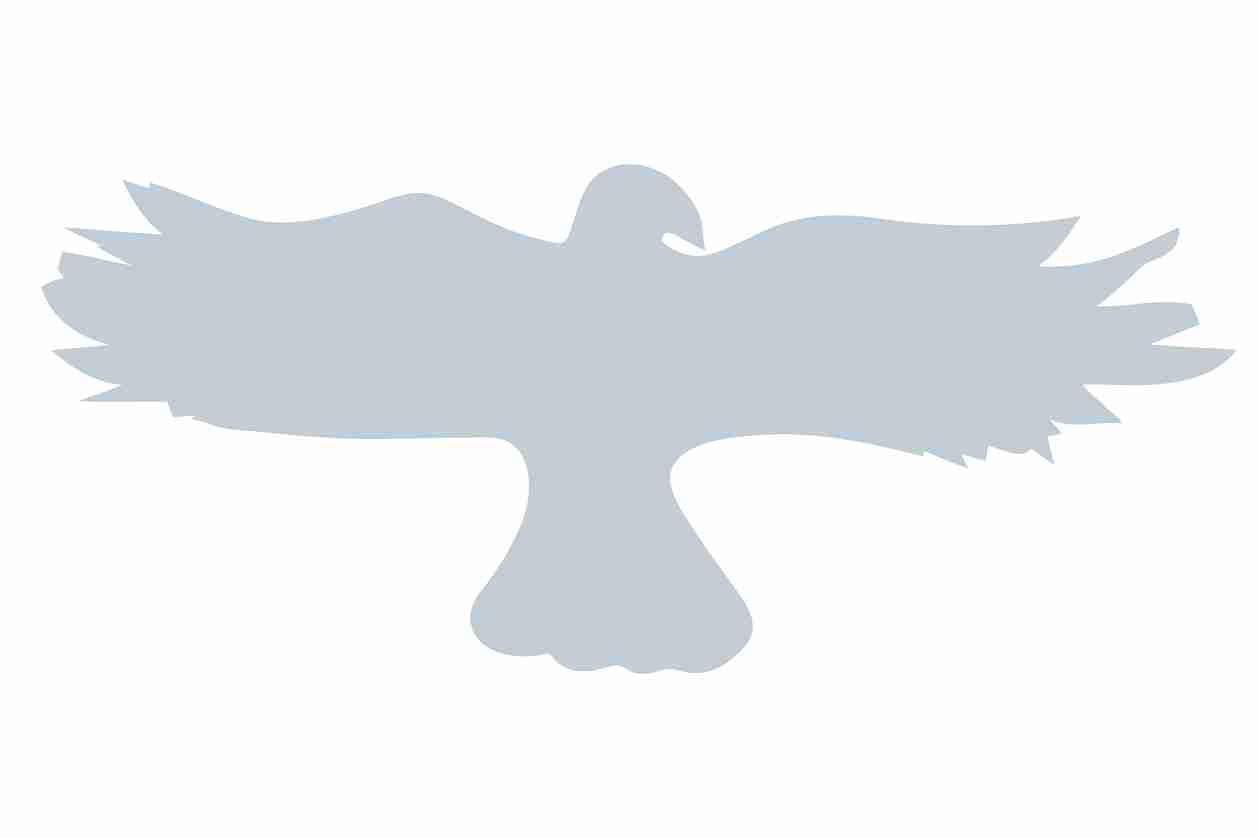 Bird protection sticker 10-50 cm LH-VOG-20-SIM, Silver matt, made of weatherproof plastic.