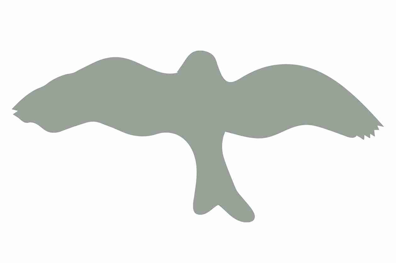 Bird protection sticker 60-100 cm LH-VOG-30-91, light gray color, made of weatherproof plastic.
