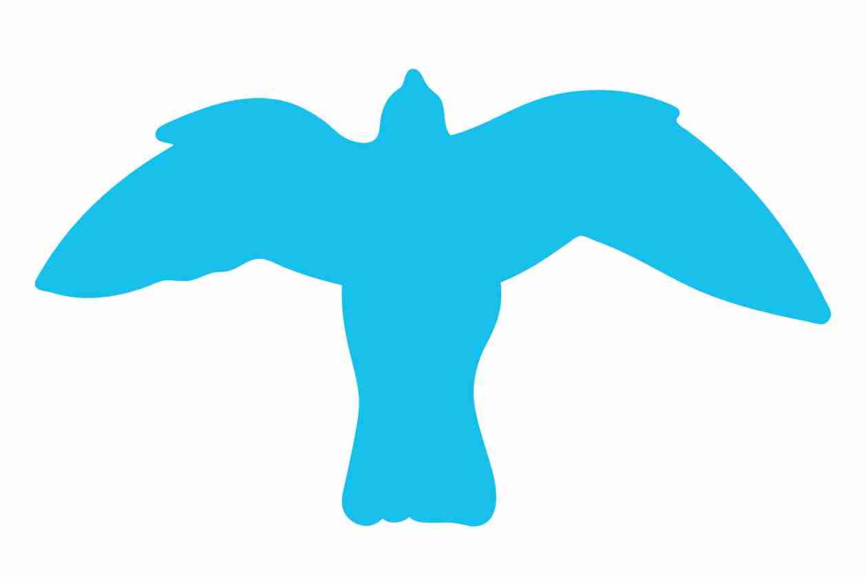 Bird protection sticker 10-50 cm LH-VOG-50-50, light blue color, made of weatherproof plastic