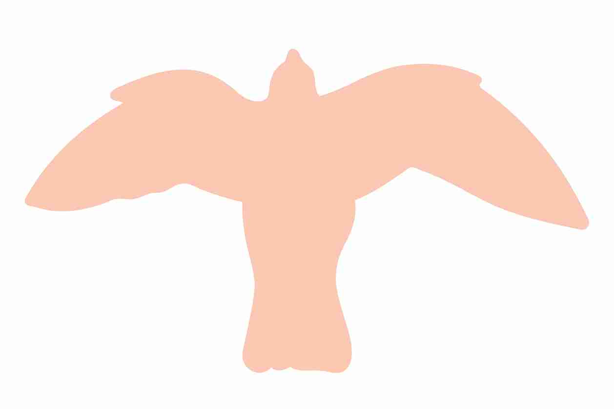 Bird protection sticker 60-100 cm LH-VOG-50-811, light orange color, made of weatherproof plastic