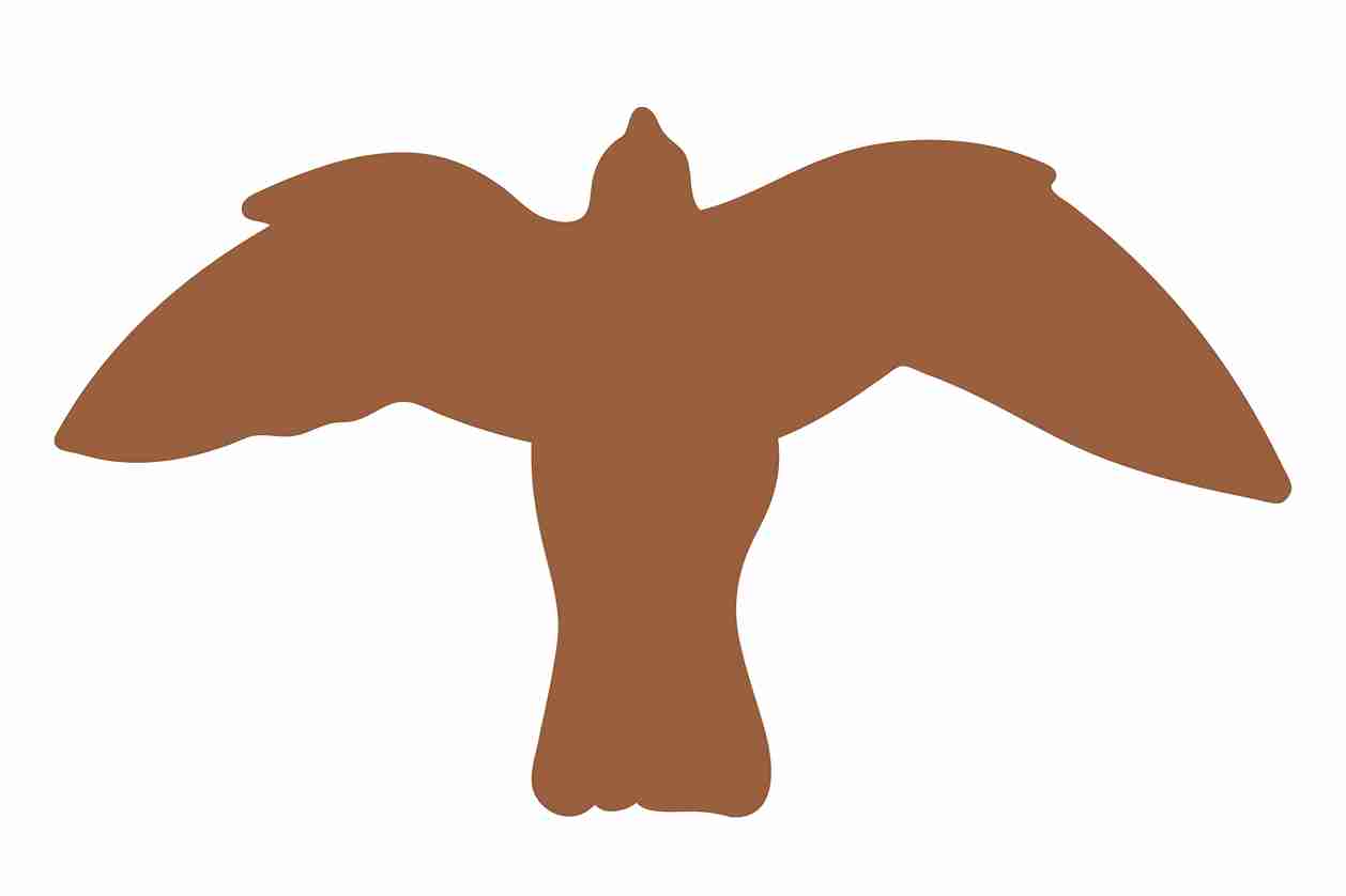Bird protection sticker 10-50 cm LH-VOG-50-84, dark brown color, made of weatherproof plastic