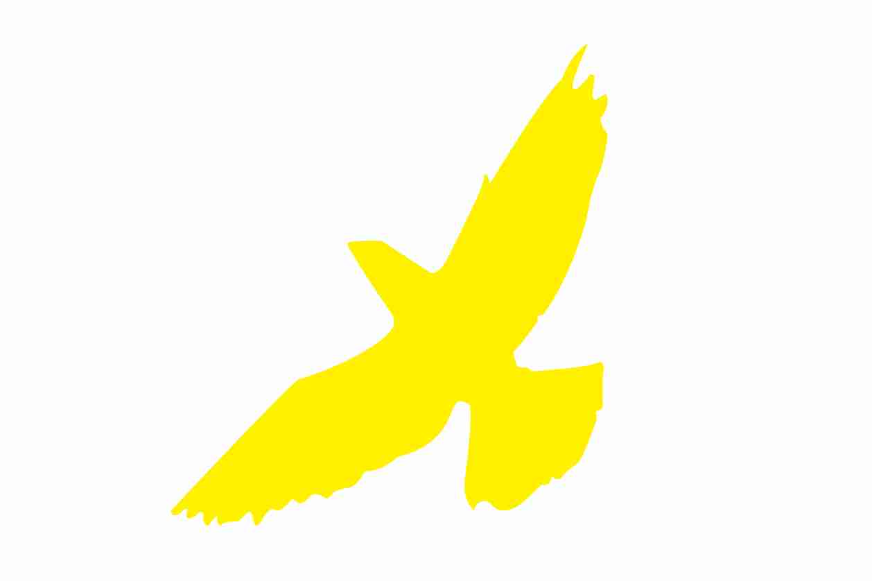 Bird protection sticker 60-100 cm LH-VOG-60-3, yellow color, made of weatherproof plastic