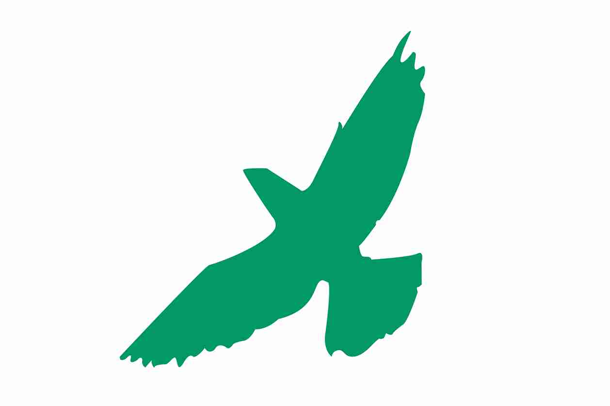 Bird protection sticker 10-50 cm LH-VOG-60-54, dark green color, made of weatherproof plastic