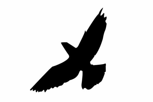 Bird protection sticker 60-100 cm LH-VOG-60-88, black color, made of weatherproof plastic